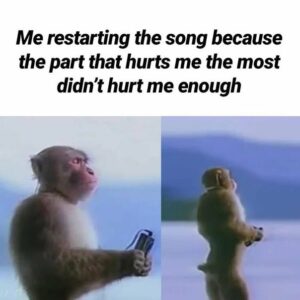 Stupid Bar Memes 6108611071b5b