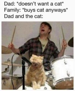 Stupid Bar Memes 611042a88d75a