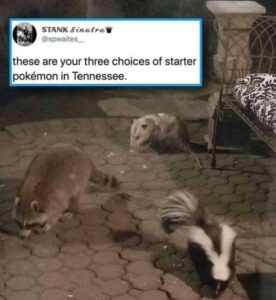 Stupid Bar Memes 6110931ed38b7