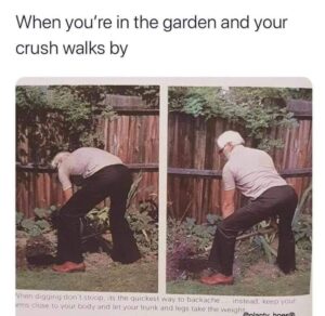 Stupid Bar Memes 61145ffeb8726