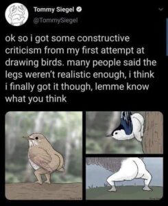 Stupid Bar Memes 611514f4d05c9 1