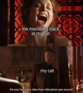 Stupid Bar Memes 6115eda717dfa
