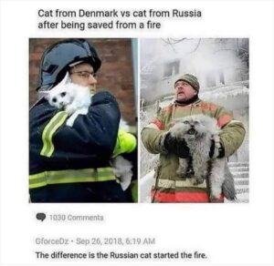 Stupid Bar Memes 611b14567ce1c