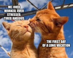 Stupid Bar Memes 611b3f7e693c0