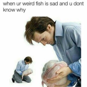 Stupid Bar Memes 6120ebcab9650
