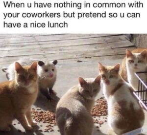 Stupid Bar Memes 6121858cb91c5