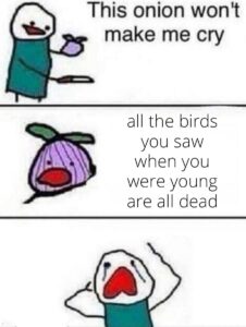 Stupid Bar Memes 612211ae8b1dd