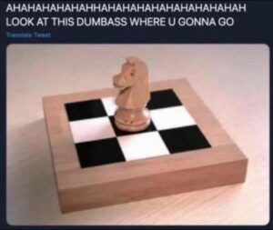 Stupid Bar Memes 61222598e9f08