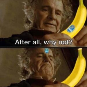 Stupid Bar Memes 6122694b070ca