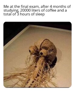 Stupid Bar Memes 6122c37c38486