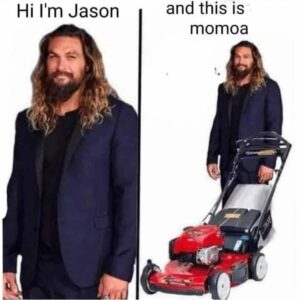 Stupid Bar Memes 6122ce79e11c2