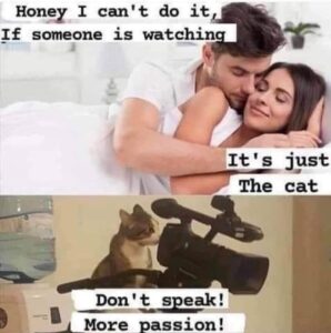 Stupid Bar Memes 61230032cff20