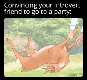 Stupid Bar Memes 61238fdf9d4fa