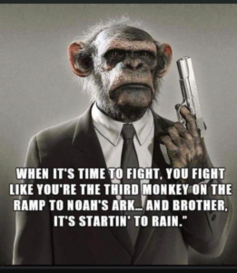 Stupid Bar Memes 64a6d2633e79ad94
