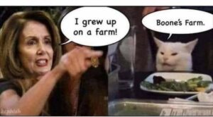 Stupid Bar Memes 64ea2d3264a0b7f2