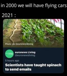 Stupid Bar Memes 6632357c7fcf61b5