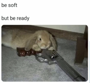 Stupid Bar Memes 6834b1fe44195a7d