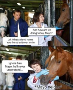 Stupid Bar Memes 6b186ea17e64d015