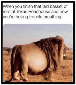 Stupid Bar Memes 757705cc4720cf1d