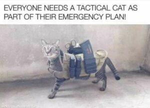 Stupid Bar Memes 75a217afcf287b36
