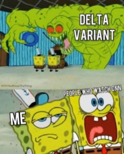 Stupid Bar Memes 768fbace850ba4af