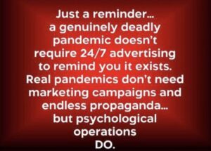 Stupid Bar Memes 7fbca83715d101a7