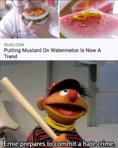 Stupid Bar Memes 84803eea24c3835d