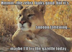 Stupid Bar Memes 84bdecf377174f3d