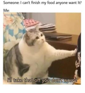 Stupid Bar Memes 86963196