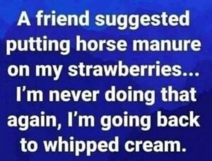 Stupid Bar Memes 887d54348abcf588