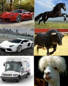 Stupid Bar Memes 8a5d1263a398fec1 1
