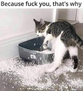 Stupid Bar Memes 8c4396fa53ef7ad7