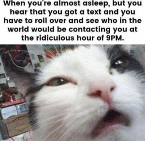 Stupid Bar Memes 8ef785585b171a46