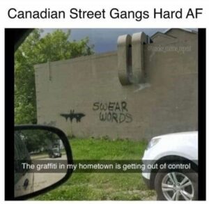 Stupid Bar Memes 92d0ad16d2a16e17