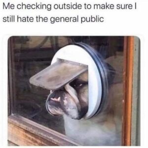 Stupid Bar Memes 946273aa5c063998