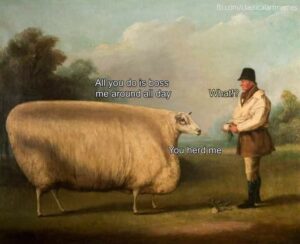 Stupid Bar Memes 95636ccb86404d8c