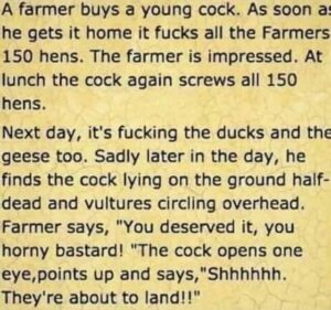 Stupid Bar Memes 995e47c0b3526130