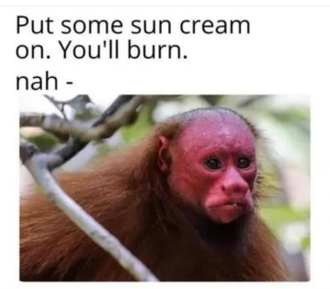 Stupid Bar Memes 9f45d6a59ceb80fb7775741f8c39651cswidths600