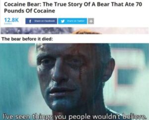 Stupid Bar Memes Screen Shot 2021 08 22 at 4.36.48 PM