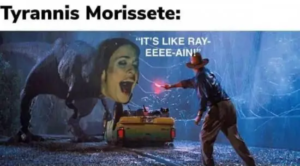 Stupid Bar Memes X2hpNsl