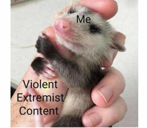 Stupid Bar Memes a8ba36f2d637ee73