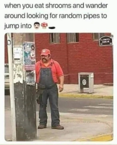 Stupid Bar Memes a9c266b9cbd92655