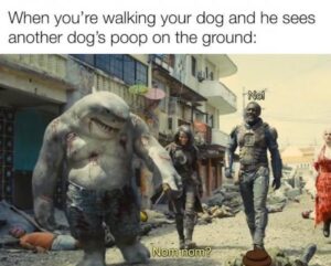 Stupid Bar Memes ab0504c3bcf56af710536c555de5ef46
