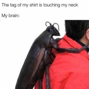 Stupid Bar Memes ad0b66a2b88e6540