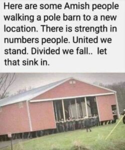 Stupid Bar Memes ae3eb84e96bfd1a0 1