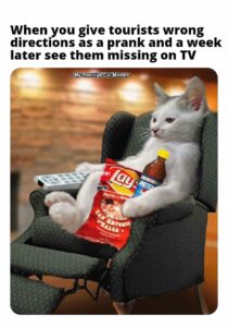 Stupid Bar Memes b85fa64e833a1c14