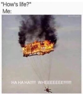 Stupid Bar Memes b862c4d6500a8732