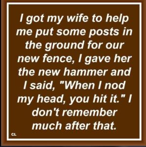 Stupid Bar Memes bb359733c8e40164