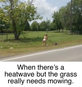 Stupid Bar Memes bd6f83a1fc311a43