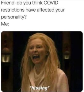 Stupid Bar Memes bs 8 4